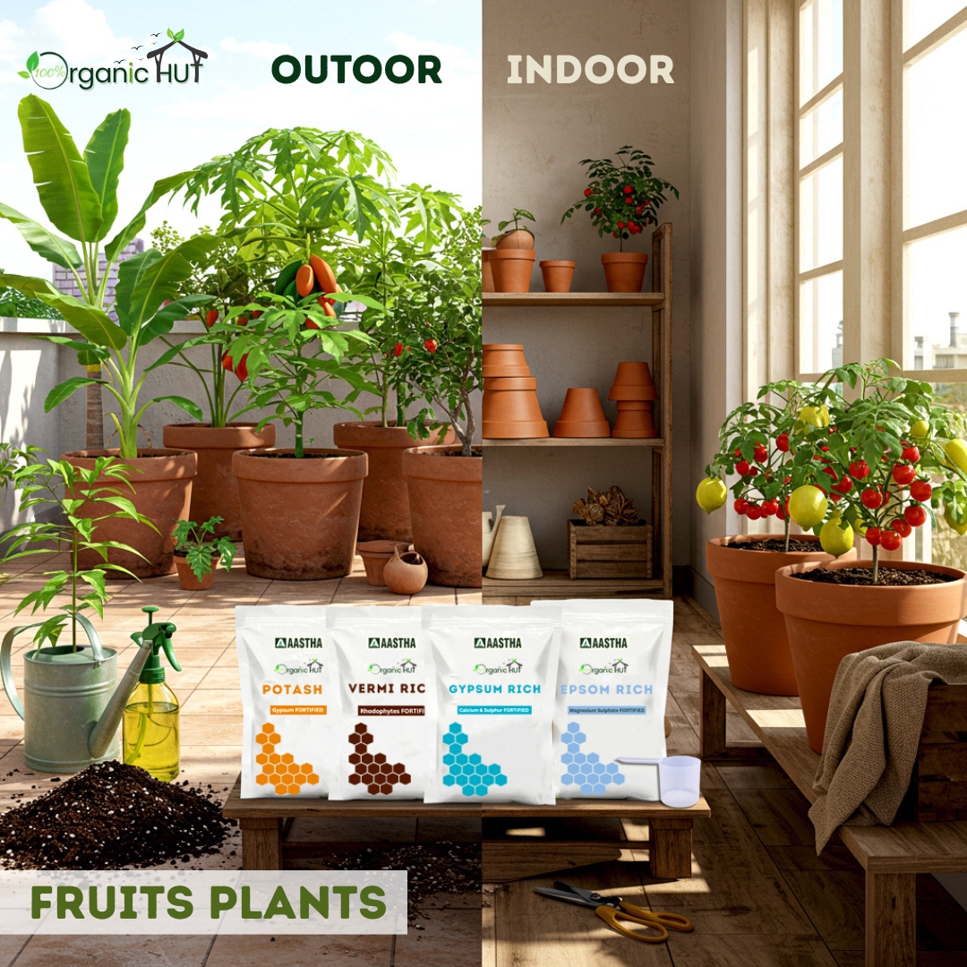 Kitchen Gardening: Indoor & Outdoor Fruit Plants Guide 